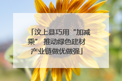汶上县巧用“加减乘” 推动绿色建材产业链做优做强