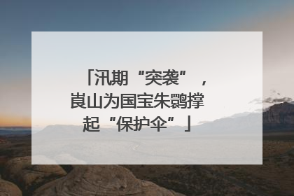 汛期“突袭”，崀山为国宝朱鹮撑起“保护伞”