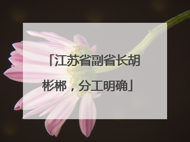 江苏省副省长胡彬郴，分工明确