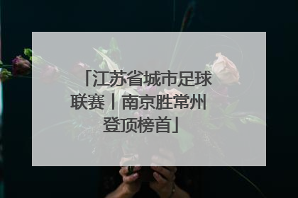 江苏省城市足球联赛丨南京胜常州 登顶榜首