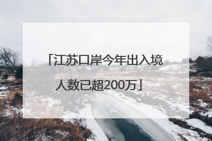 江苏口岸今年出入境人数已超200万