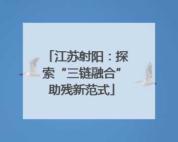 江苏射阳：探索“三链融合”助残新范式