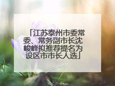 江苏泰州市委常委、常务副市长沈峻峰拟推荐提名为设区市市长人选