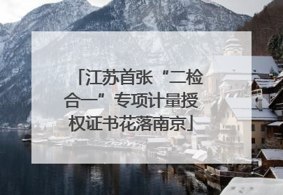 江苏首张“二检合一”专项计量授权证书花落南京