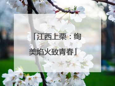 江西上栗：绚美焰火致青春