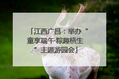 江西广昌：举办“童享端午·粽趣横生”主题游园会