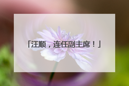 汪顺，连任副主席！