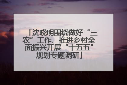 沈晓明围绕做好“三农”工作、推进乡村全面振兴开展“十五五”规划专题调研