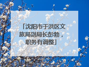 沈阳市于洪区文旅局副局长彭勃，职务有调整