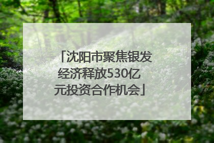 沈阳市聚焦银发经济释放530亿元投资合作机会