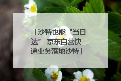 沙特也能“当日达” 京东自营快递业务落地沙特