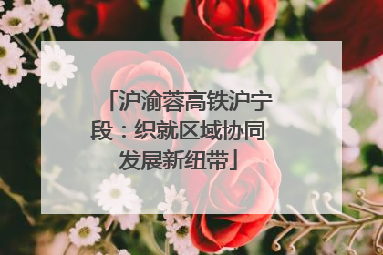 沪渝蓉高铁沪宁段：织就区域协同发展新纽带