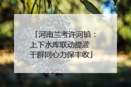 河南兰考许河镇：上下水库联动提灌 干群同心力保丰收