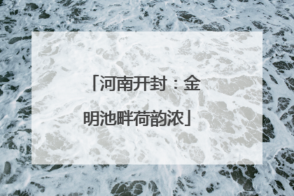 河南开封：金明池畔荷韵浓