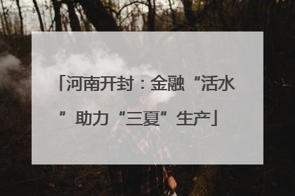 河南开封：金融“活水”助力“三夏”生产