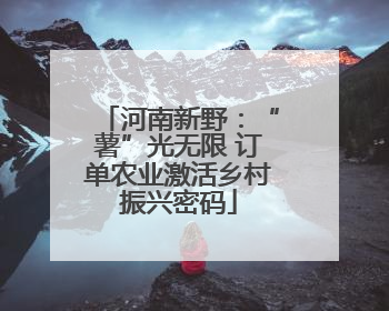 河南新野：“薯”光无限 订单农业激活乡村振兴密码