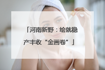河南新野：绘就稳产丰收“金画卷”
