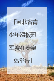 河北省青少年滑板冠军赛在秦皇岛举行