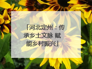 河北定州：传承乡土文脉 赋能乡村振兴