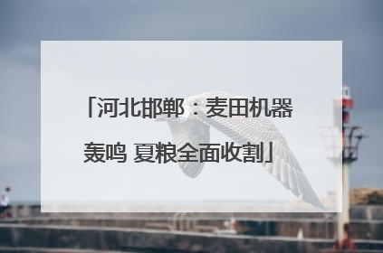 河北邯郸：麦田机器轰鸣 夏粮全面收割