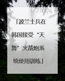 波兰士兵在韩国接受“天舞”火箭炮系统使用训练