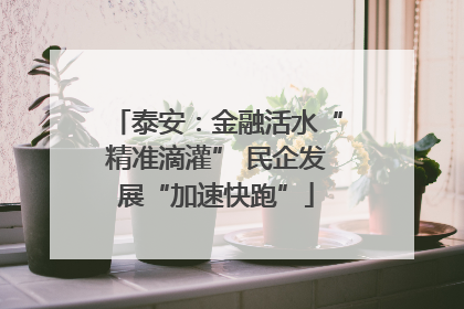 泰安：金融活水“精准滴灌” 民企发展“加速快跑”