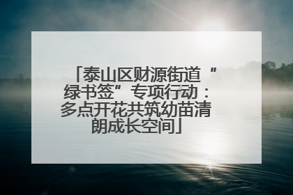 泰山区财源街道“绿书签”专项行动：多点开花共筑幼苗清朗成长空间