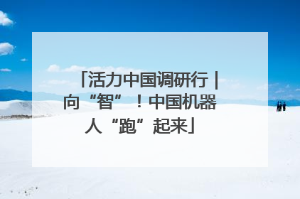 活力中国调研行｜向“智”！中国机器人“跑”起来