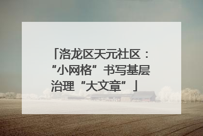洛龙区天元社区：“小网格”书写基层治理“大文章”
