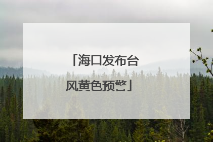 海口发布台风黄色预警