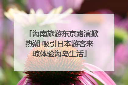 海南旅游东京路演掀热潮 吸引日本游客来琼体验海岛生活