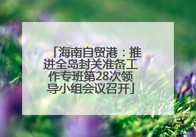 海南自贸港：推进全岛封关准备工作专班第28次领导小组会议召开