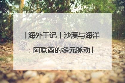 海外手记丨沙漠与海洋：阿联酋的多元脉动