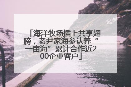 海洋牧场插上共享翅膀，老尹家海参认养“一亩海”累计合作近200企业客户