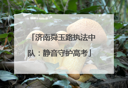 济南舜玉路执法中队：静音守护高考