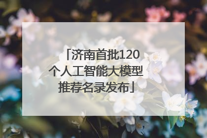 济南首批120个人工智能大模型推荐名录发布