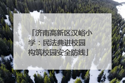 济南高新区汉峪小学：民法典进校园 构筑校园安全防线