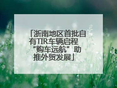 浙南地区首批自有TIR车辆启程 “购车远航”助推外贸发展
