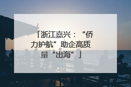 浙江嘉兴：“侨力护航”助企高质量“出海”