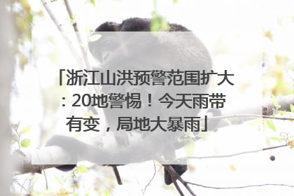 浙江山洪预警范围扩大：20地警惕！今天雨带有变，局地大暴雨