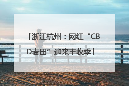 浙江杭州：网红“CBD麦田”迎来丰收季