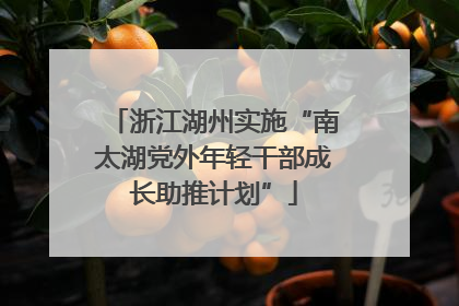 浙江湖州实施“南太湖党外年轻干部成长助推计划”