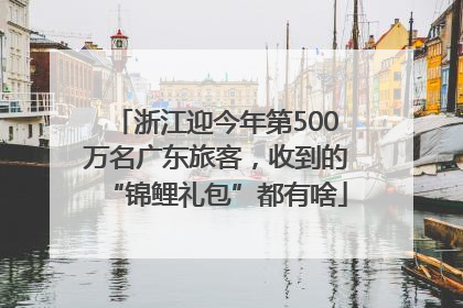 浙江迎今年第500万名广东旅客，收到的“锦鲤礼包”都有啥