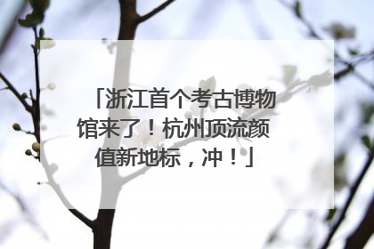 浙江首个考古博物馆来了！杭州顶流颜值新地标，冲！