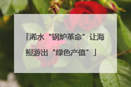 浠水“锅炉革命”让海鳗游出“绿色产值”