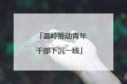 温岭推动青年干部下沉一线
