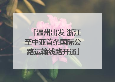 温州出发 浙江至中亚首条国际公路运输线路开通