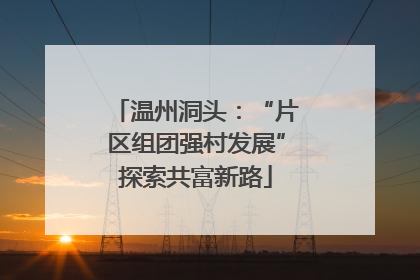 温州洞头：“片区组团强村发展”探索共富新路