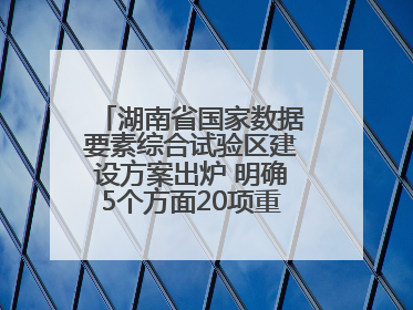 湖南省国家数据要素综合试验区建设方案出炉 明确5个方面20项重点任务