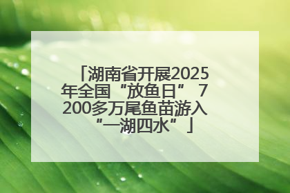 湖南省开展2025年全国“放鱼日” 7200多万尾鱼苗游入“一湖四水”